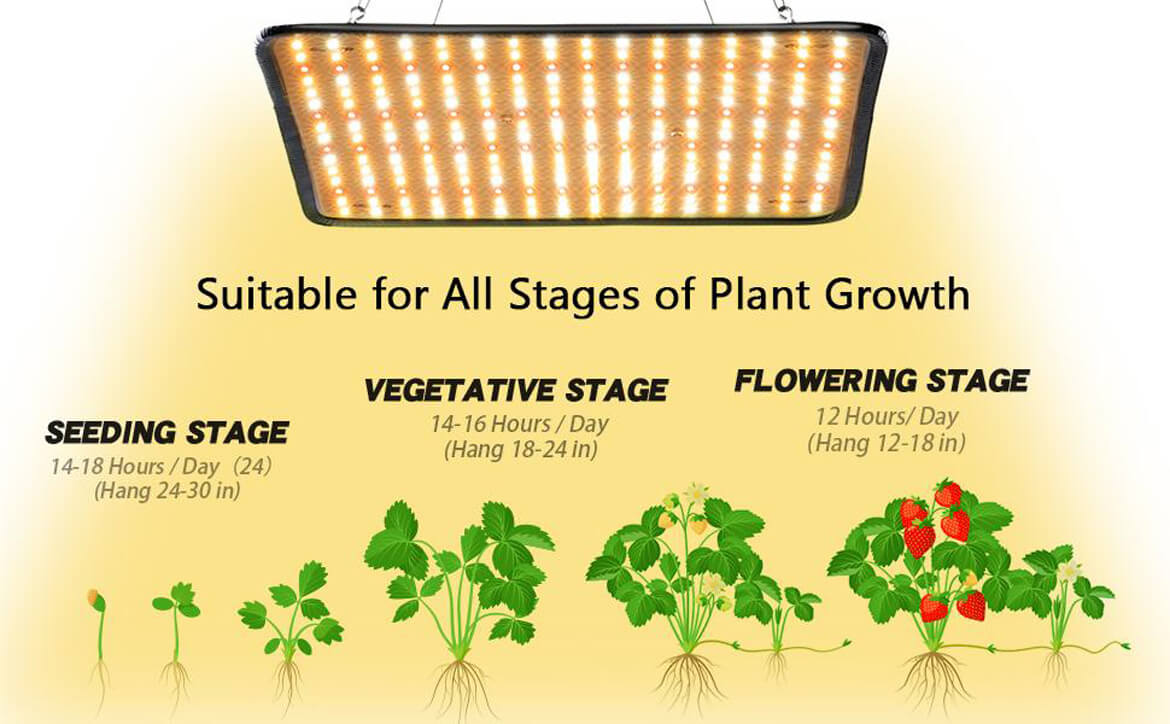 Upgraded Grow Lights for Indoor Plants, 200W 432 LEDs Full Spectrum Plant  Grow Light with 60 inch Extendable Tripod Stand, Dual Controllers, Auto